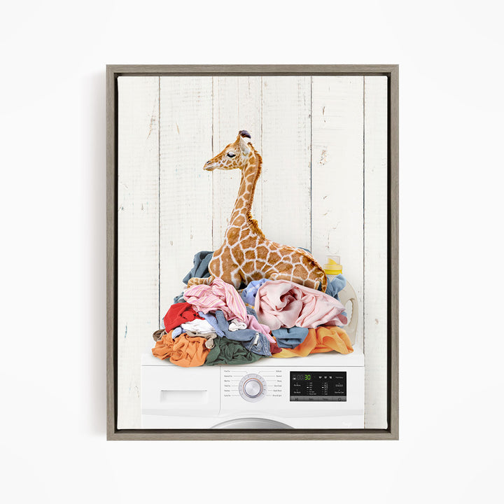 A giraffe sitting atop a pile of laundry in a white-framed picture.