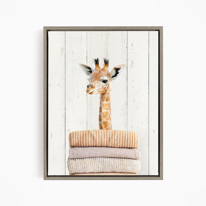 A giraffe is sitting atop a stack of blankets, creating a whimsical and playful scene.