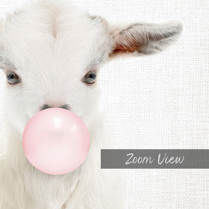 A white goat is blowing a pink bubble with its mouth, with the text "Zoom View" below the image.