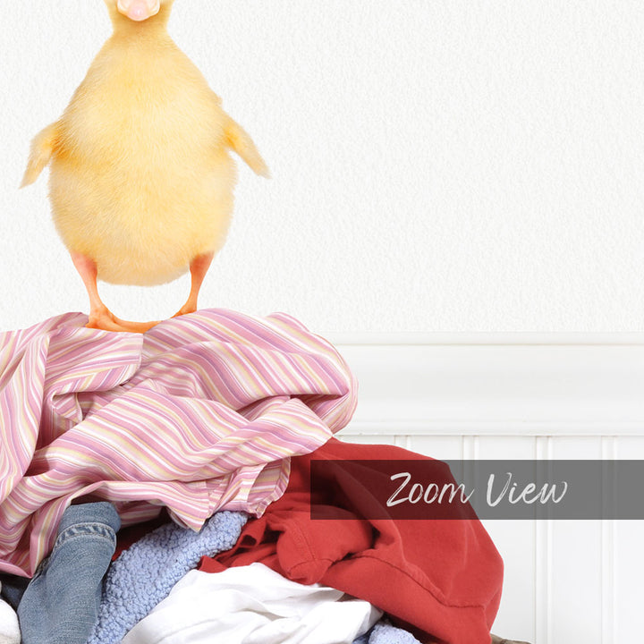 A yellow duck standing on top of a pile of laundry, with the text "Zoom View" below the image.