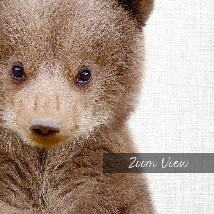 A close-up of a young brown bear cub's face, with its large eyes and soft fur visible.