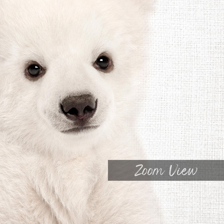 A close-up portrait of a fluffy white dog with large, expressive eyes and a black nose.