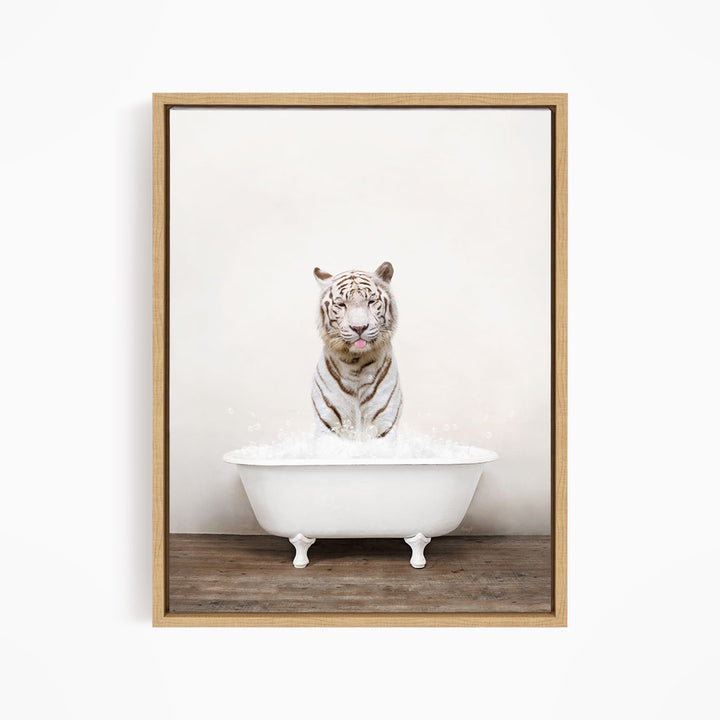 A white tiger sitting in a white bathtub filled with water, looking directly at the camera.