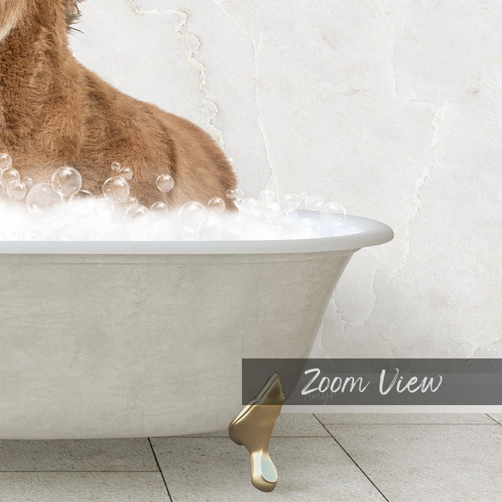 A dog is sitting in a bathtub filled with bubbles, enjoying a relaxing bath.