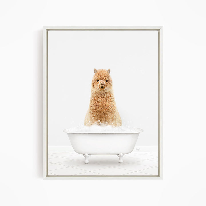 A fluffy brown alpaca sitting in a white bathtub filled with bubbles.