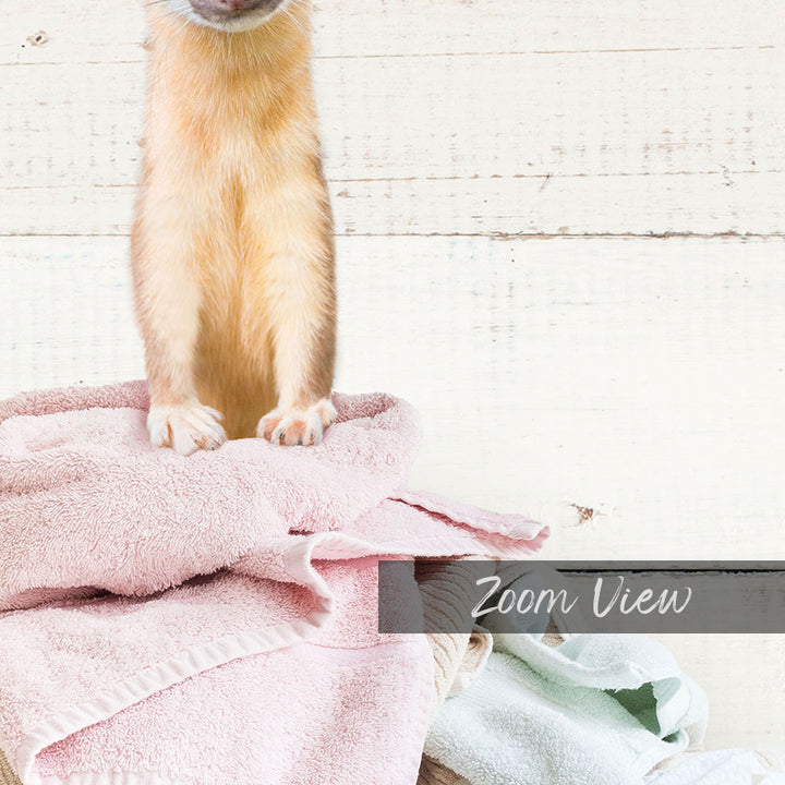 A cat sitting on a pink towel on a wooden surface.