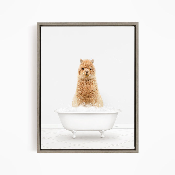 A fluffy brown alpaca sitting in a white bathtub filled with water, looking directly at the camera.