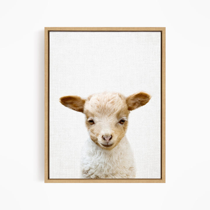 A framed print of a lamb's face, with a white background and a wooden frame.