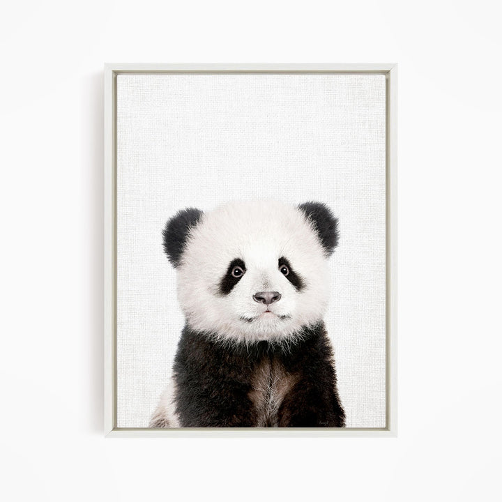 A panda bear with its distinctive black and white fur is the focus of the image, which is a framed print of the panda bear.