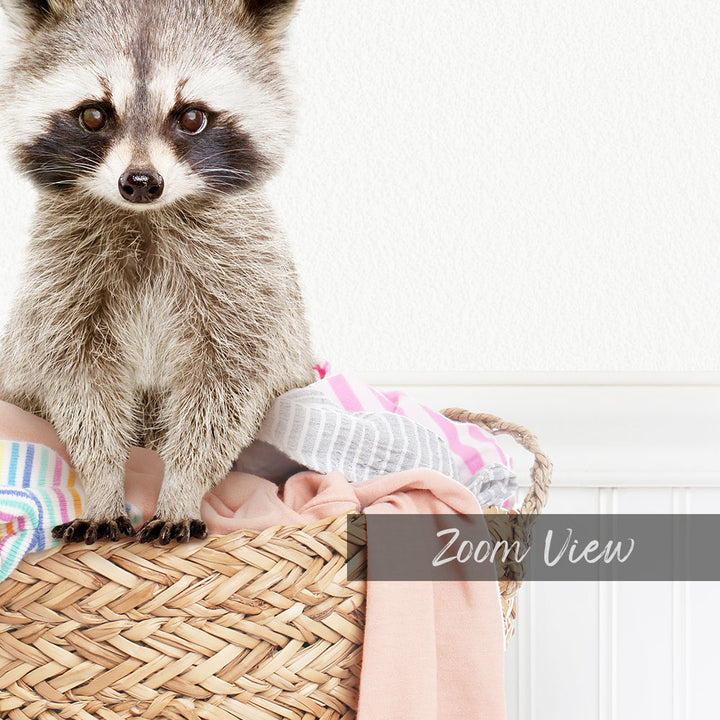 A raccoon sitting on top of a woven basket filled with clothes.
