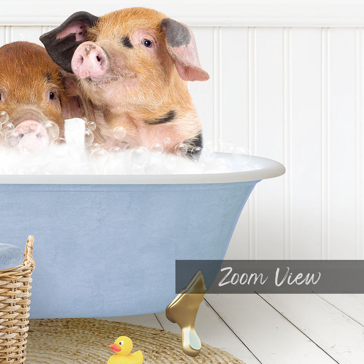 Two adorable pigs enjoying a bath in a blue tub, surrounded by rubber ducks and a basket.