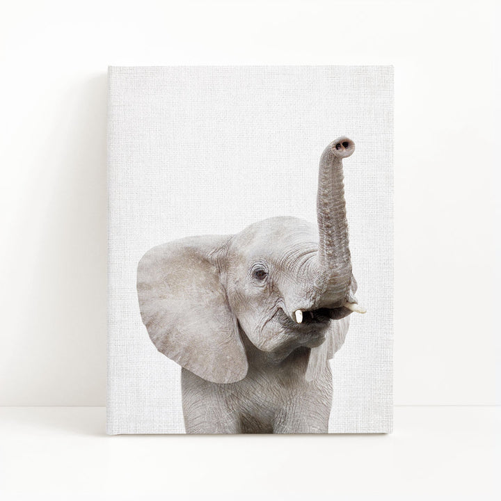 A gray elephant with its trunk raised, looking directly at the camera.