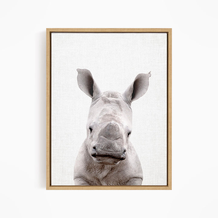 A close-up portrait of a rhinoceros, with its distinctive horn-like features prominently displayed against a plain background.