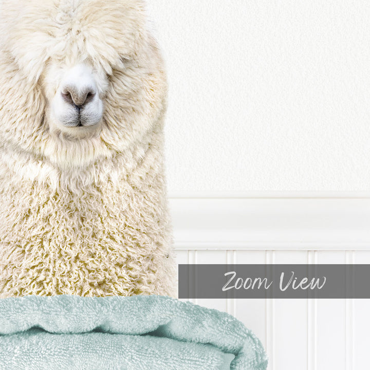 A fluffy white alpaca with its eyes closed, sitting on a light blue towel.