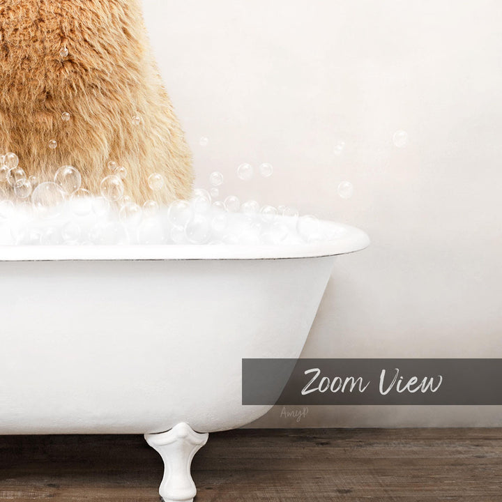 A fluffy brown cat sitting in a white bathtub filled with bubbles, with the text "Zoom View" displayed below the image.