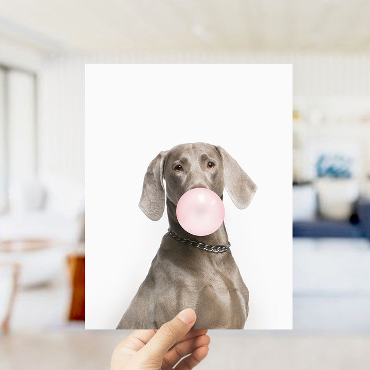 A gray dog is holding a pink bubble gum bubble in its mouth, with a blurred background suggesting an indoor setting.