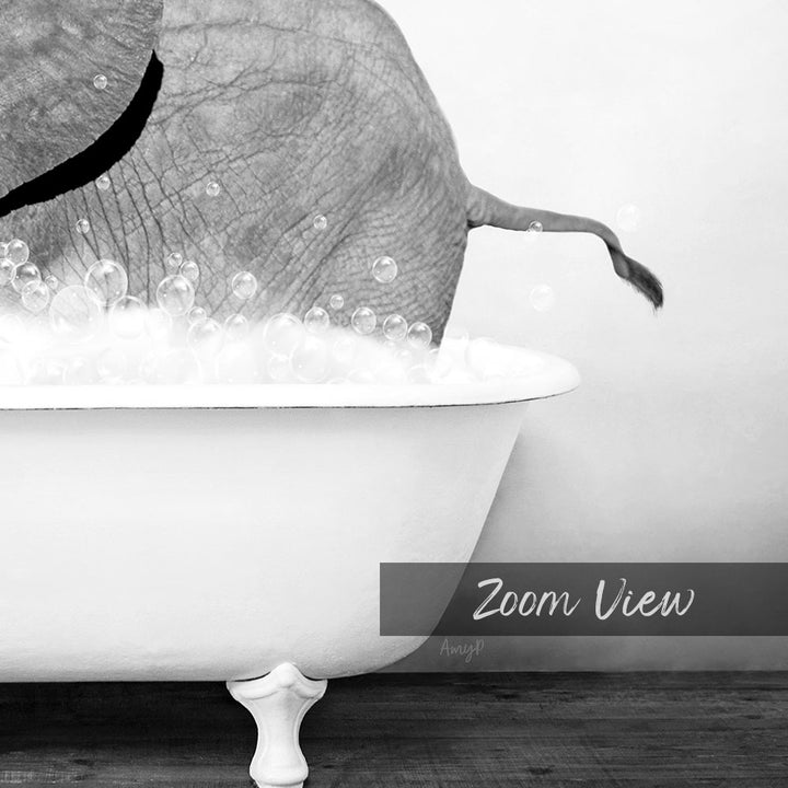 A black and white image of an elephant standing in a bathtub filled with bubbles, with the text "Zoom View" overlaid on the image.
