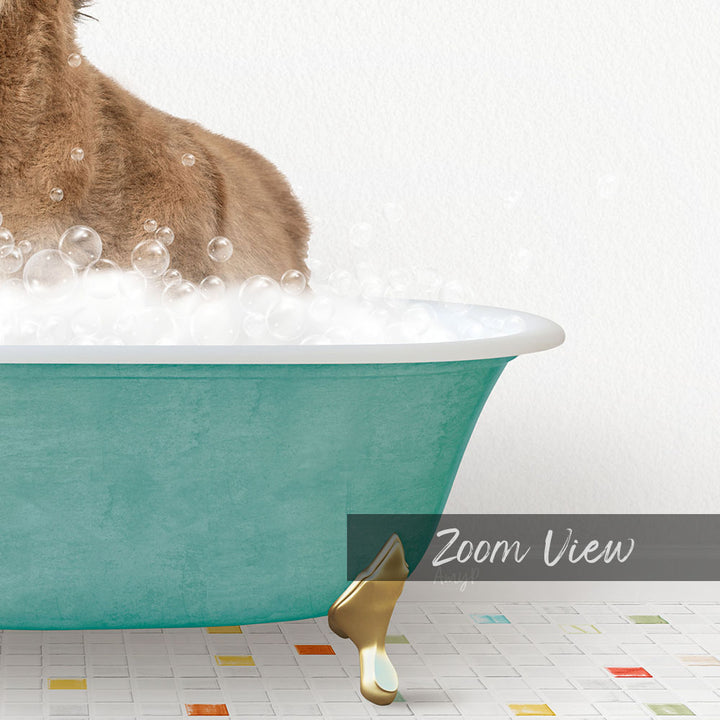 A cat sitting in a green bathtub filled with bubbles, with a text overlay that reads "Zoom View".