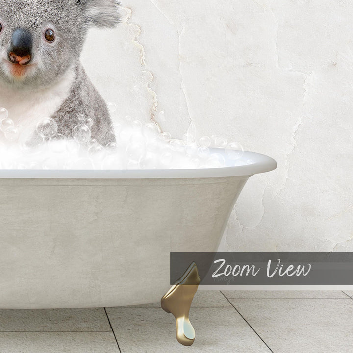 A koala sitting in a bathtub filled with bubbles, with a text overlay that reads "Zoom View".