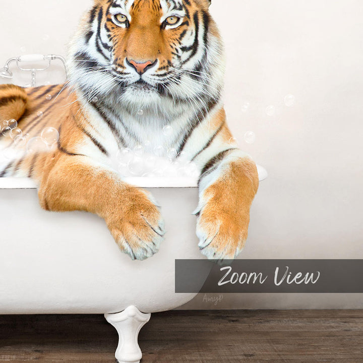 A tiger resting in a bathtub filled with bubbles, with the text "Zoom View" below the image.