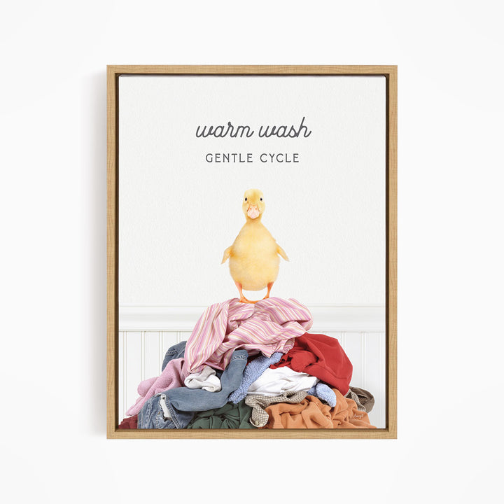 A yellow duck standing on a pile of clothes, with the text "Warm wash Gentle Cycle" above the pile.