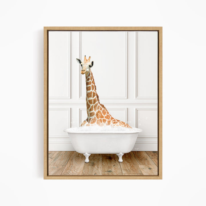 A giraffe sitting in a white bathtub, with its head and neck submerged in the water.