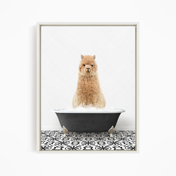 A fluffy brown alpaca sitting in a black bathtub filled with bubbles, surrounded by a black and white patterned floor.