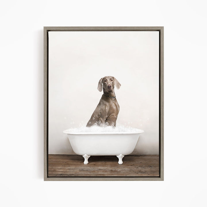 A dog sitting in a white bathtub filled with water, looking directly at the camera.