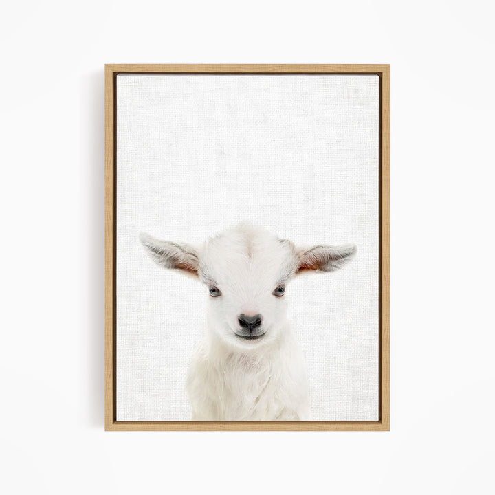 A framed print of a white goat's face with large, alert eyes and a small nose.