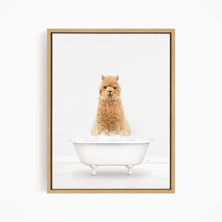 A fluffy brown alpaca sitting in a white bathtub filled with bubbles, looking directly at the camera.