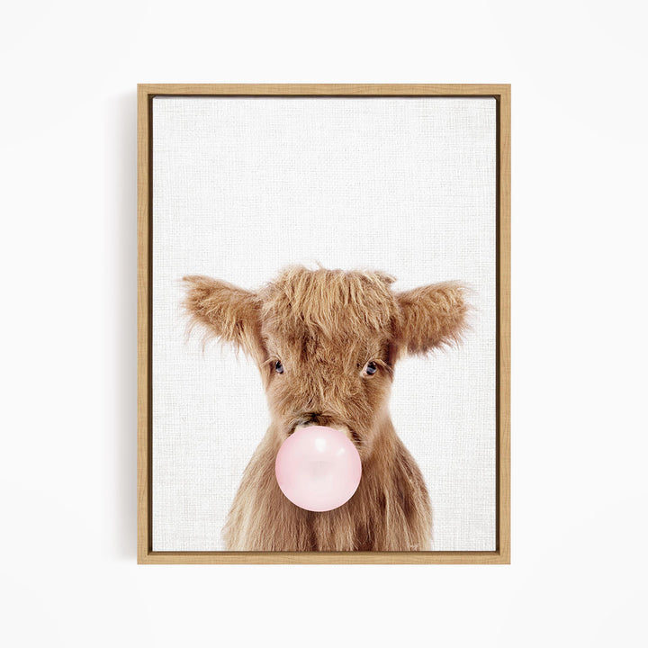 A brown cow with shaggy fur blowing a pink bubblegum bubble.