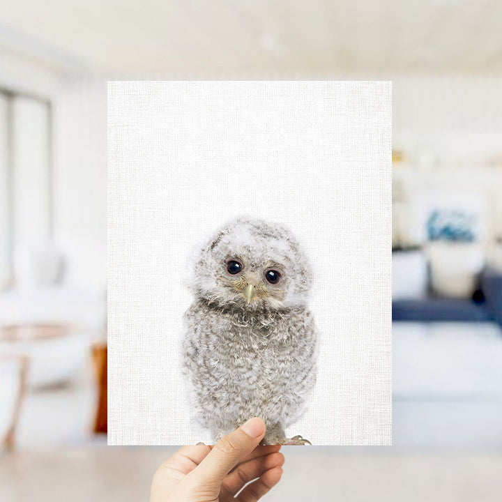 A person's hand is holding up a white square with a picture of a baby owl on it.