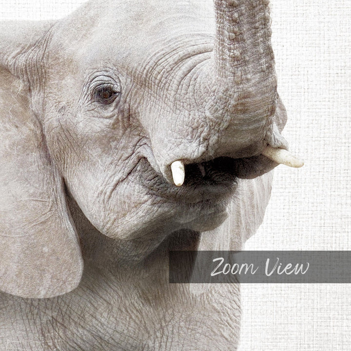A close-up of an elephant's face, showing its large tusks and wrinkled skin.