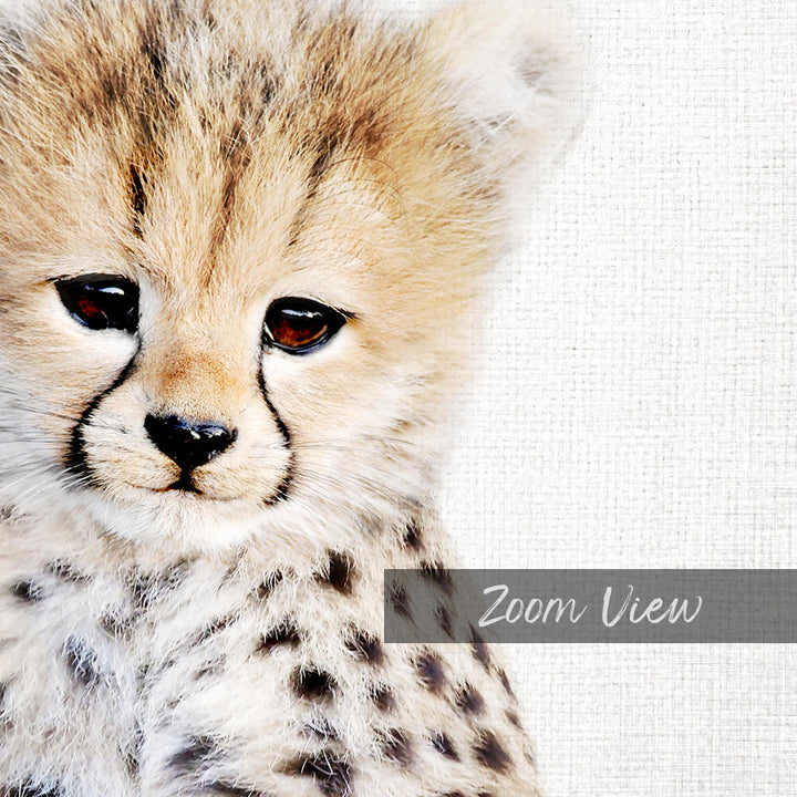 A close-up portrait of a young cheetah cub with its distinctive spotted fur and large, expressive eyes.