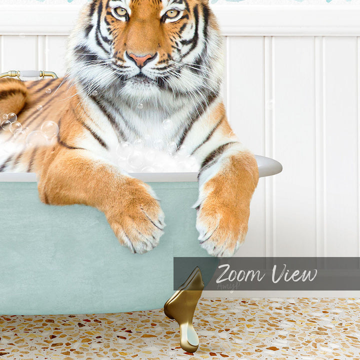 A tiger resting in a bathtub filled with bubbles, with the text "Zoom View" visible.