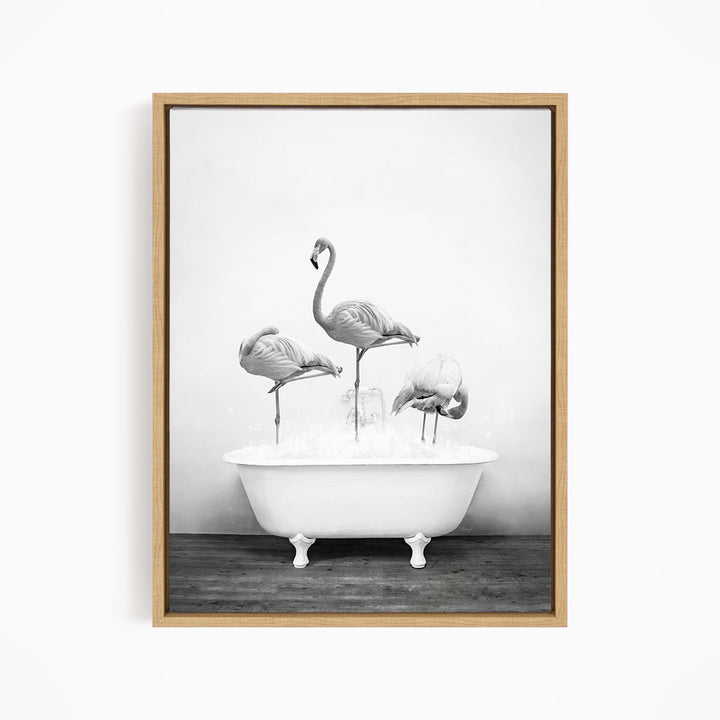 A black and white image of three flamingos standing in a white bathtub filled with water.