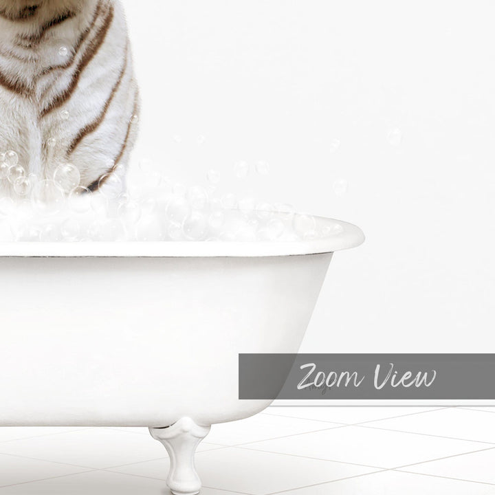 A white cat sitting in a white bathtub filled with bubbles, with the text "Zoom View" below the image.