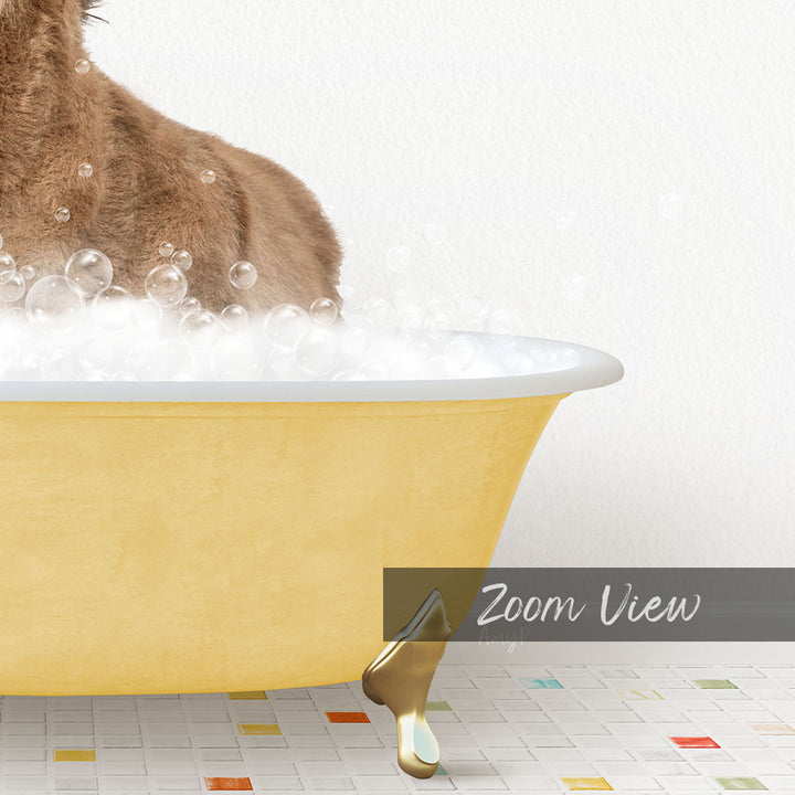 A brown cat sitting in a yellow bathtub filled with bubbles, with a text overlay that reads "Zoom View".