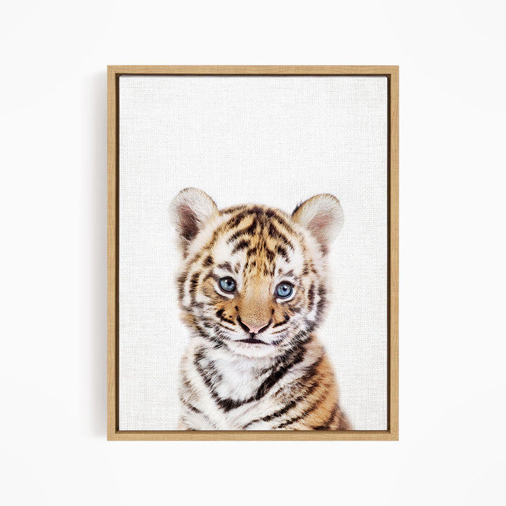A young tiger cub with striking blue eyes and a captivating expression is the focal point of the framed print.