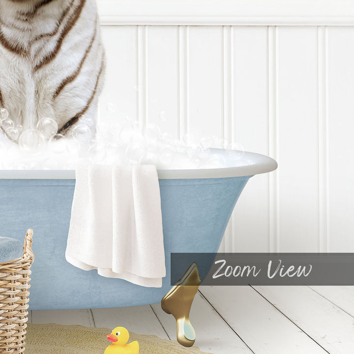 A white and brown striped cat is sitting in a blue bathtub filled with bubbles, with a towel and rubber duck nearby.