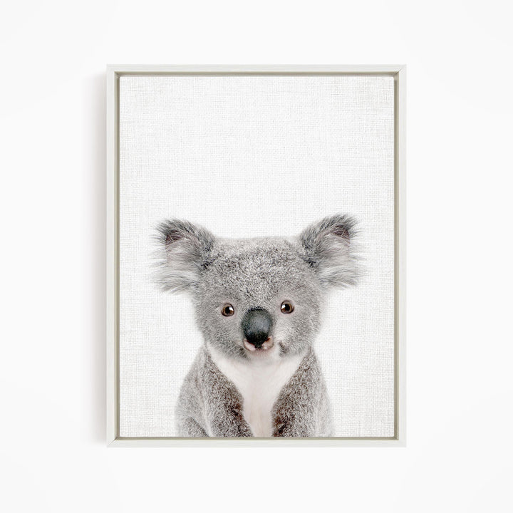 A close-up portrait of a koala bear, with its distinctive gray fur and large eyes, is the central focus of the image.