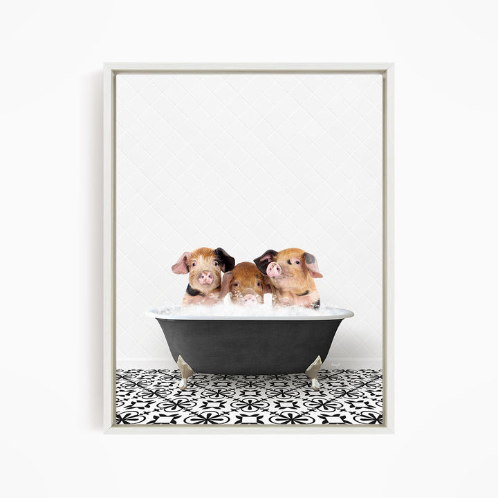 Three adorable pigs sitting in a black bathtub filled with water, creating a playful and whimsical scene.