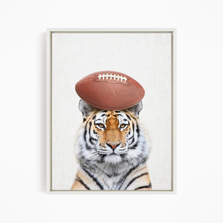 A tiger with a football on its head, looking directly at the camera.
