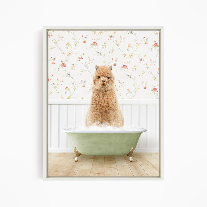 A fluffy brown dog sitting in a green bathtub filled with water, with a floral wallpaper in the background.
