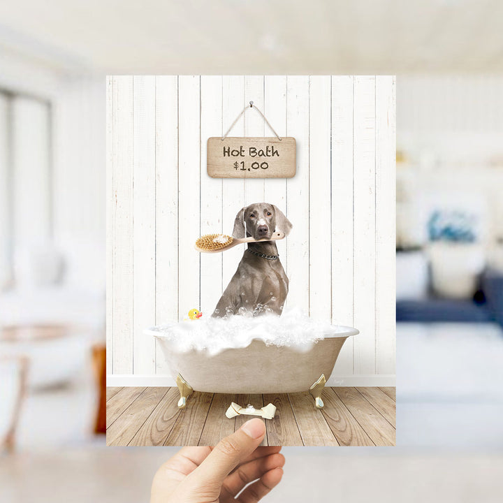 A dog sitting in a bathtub filled with bubbles, with a sign above that says "Hot Bath $1.00".