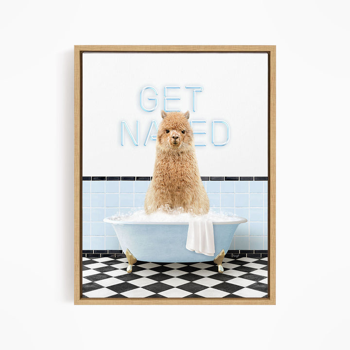 A fluffy brown dog sitting in a blue bathtub, with the words "GET NAKED" written on the wall behind it.