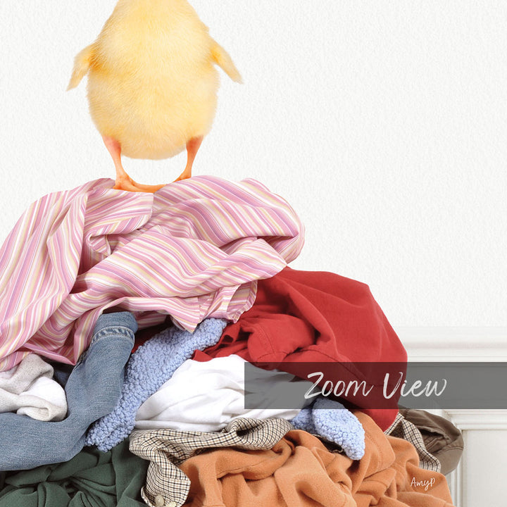 A yellow chick stands atop a pile of clothes, with the text "Zoom View" overlaid on the image.
