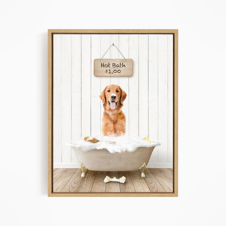 A golden retriever dog sitting in a white bathtub filled with bubbles, with a sign above the tub indicating a hot bath for $1.00.