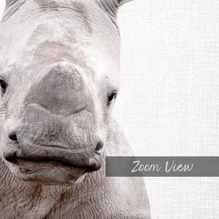 A close-up of a rhinoceros's face, with its distinctive horn and wrinkled skin visible.