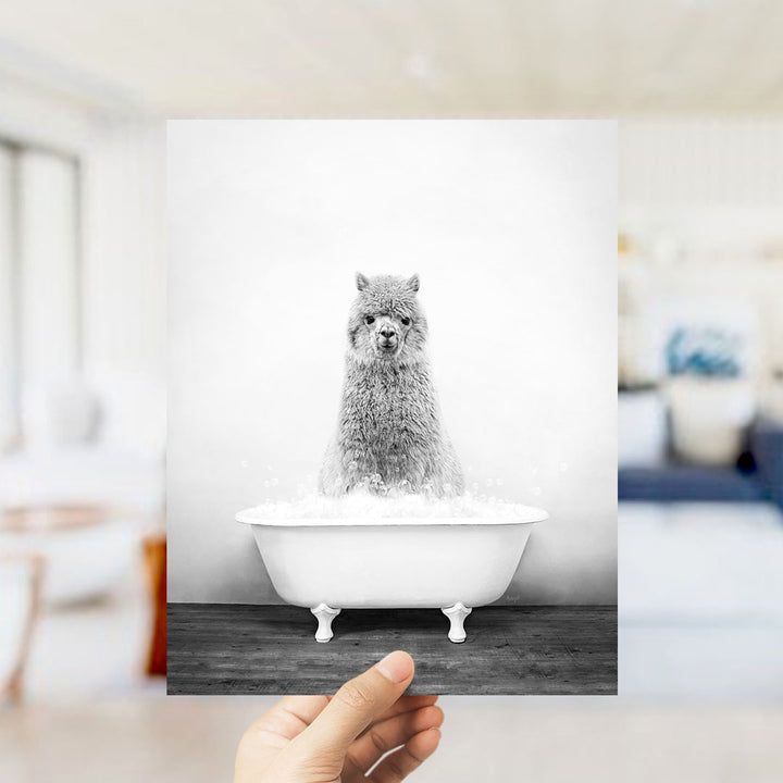 A fluffy gray alpaca sitting in a white bathtub filled with bubbles, with a blurred background suggesting a bathroom setting.